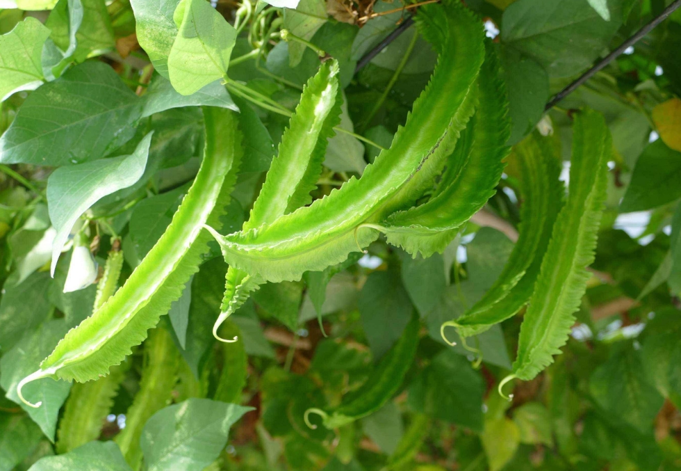 1721033691716668.png 微信截圖_20240712165622.png