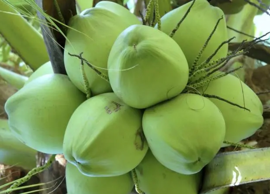 1721116633115742.png 微信截圖_20240712170749.png