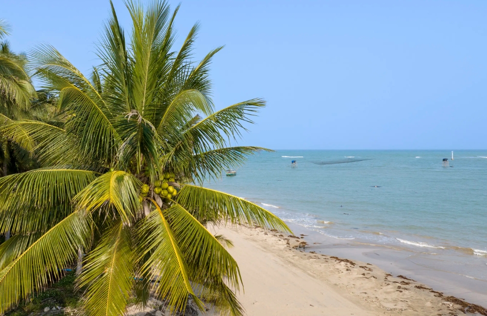 1721204439661467.png 微(wēi)信截圖_20240716170756.png