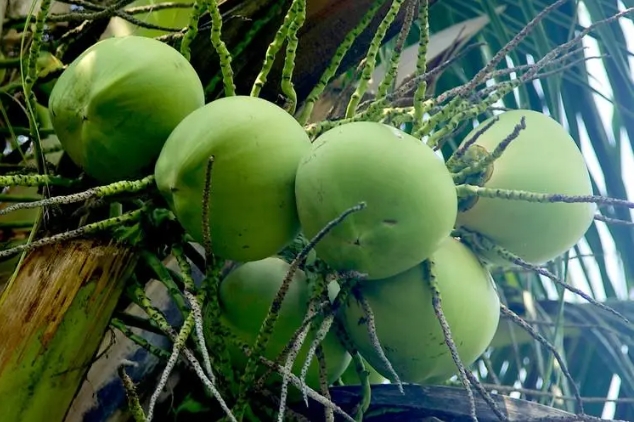 1721204446419359.png 微信截圖_20240716170842.png