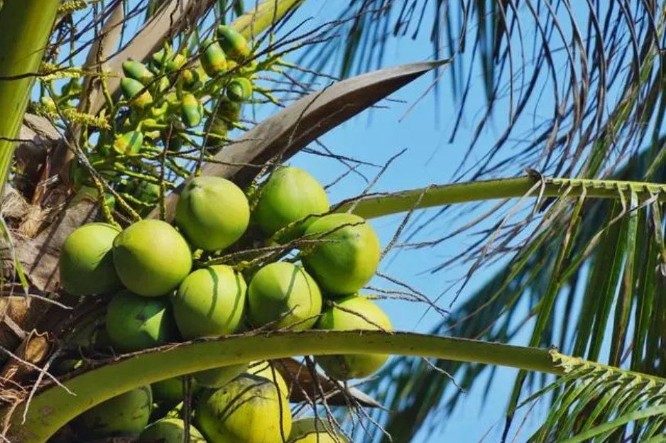 1721204451483902.png 微信截圖_20240716170958.png