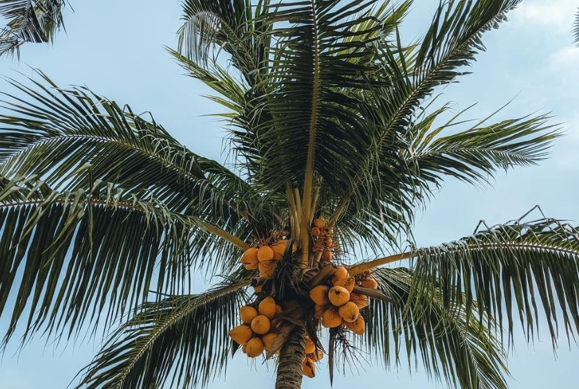 1722581605655579.png 微(wēi)信截圖_20240731160419.png