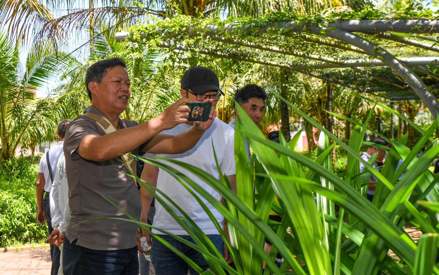 1722673642729266.png 微(wēi)信截圖_20240803141513.png