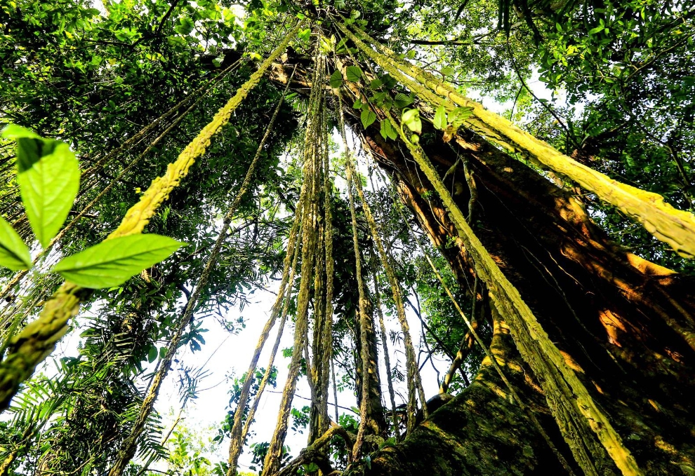 1722845641994460.png 微信截圖_20240802171232.png