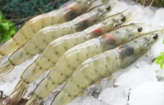 1723538383226362.png 微信(xìn)截(jié)圖_20240813155718.png