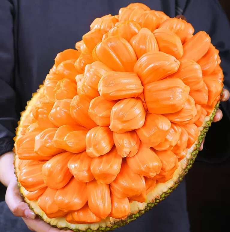 1724830562565867.png 微信截圖(tú)_20240827111317.png