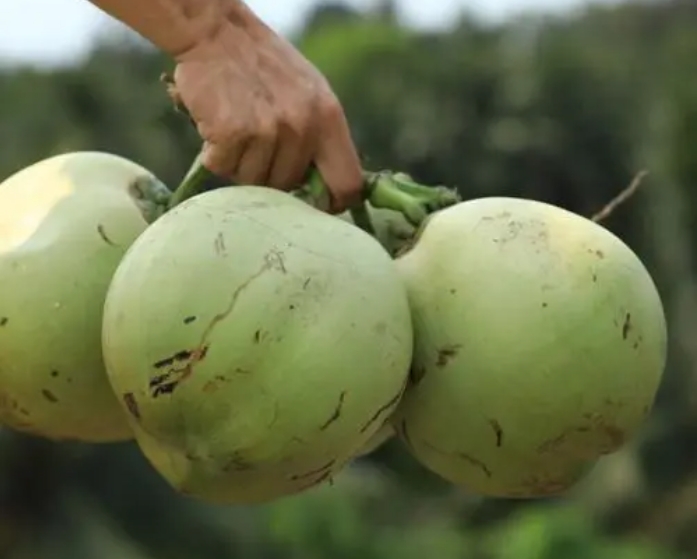 1725349935886470.png 微(wēi)信截圖_20240902151838.png