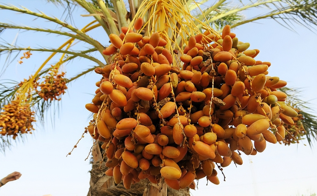 1726732724314062.png 微信截圖_20240918154634.png