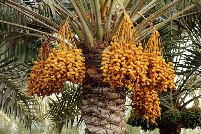 1726732730291359.png 微信截圖_20240918154534.png