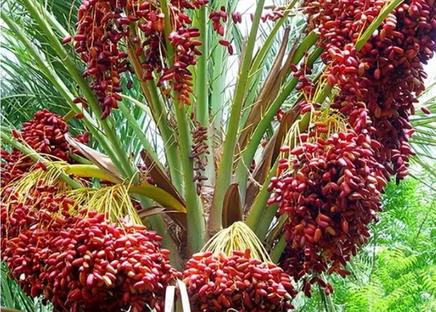 1726732735575515.png 微信截圖_20240918154558.png