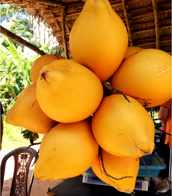 1727165920660626.png 微信(xìn)截圖_20240923112335.png