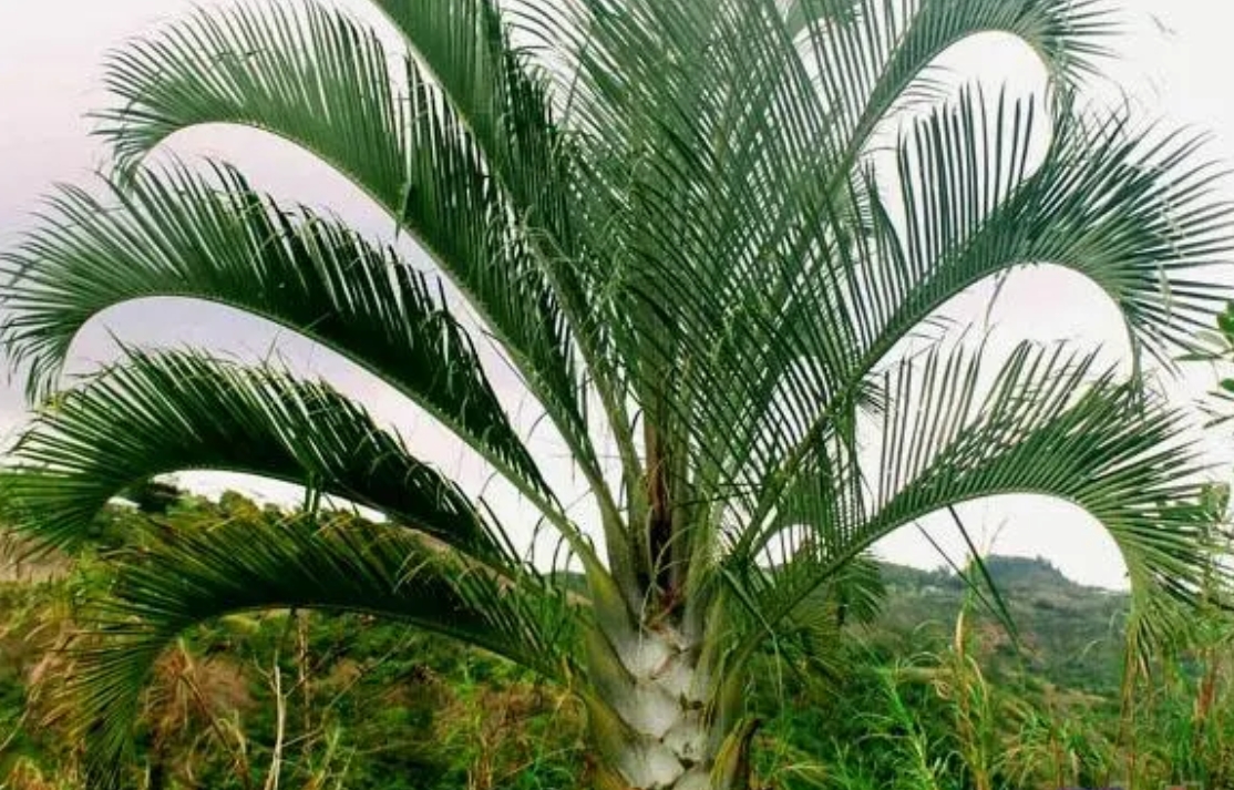 1727165938424668.png 微信截圖_20240923114742.png