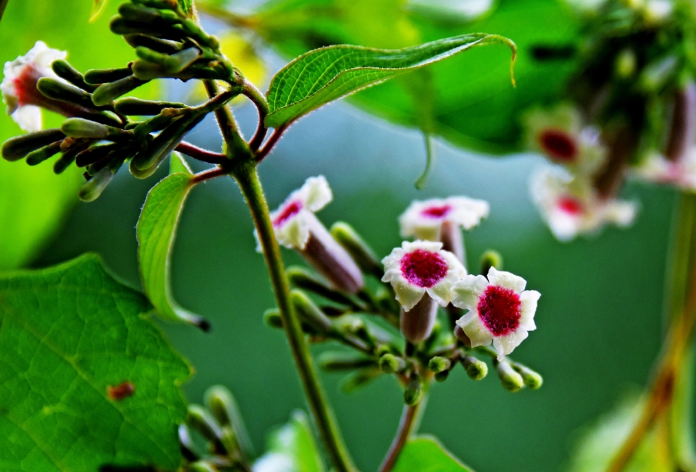 1727244021870832.png 微信截圖_20240923155714.png