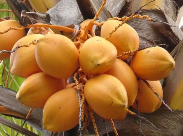 1728456220353563.png 微信截圖_20240930152927.png