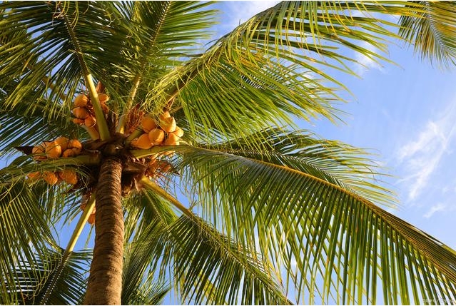 1728629061201615.png 微(wēi)信截圖_20241011095134.png