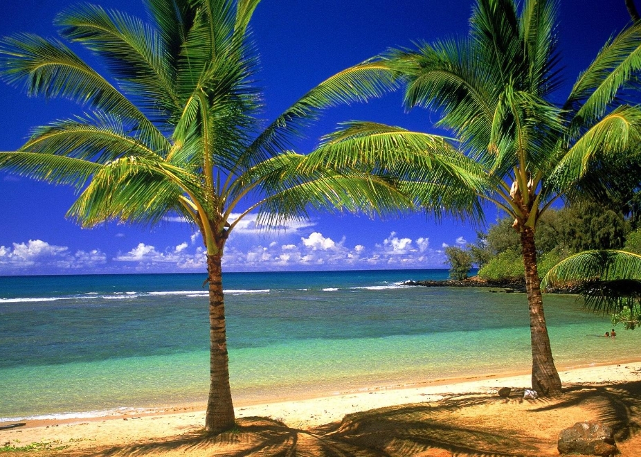 1728890393817420.png 微信截圖_20241014110016.png