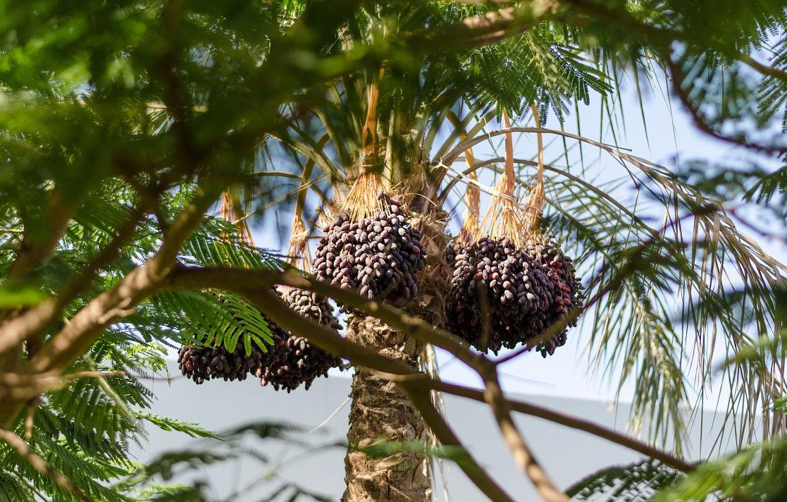 1728890400761513.png 微信截圖(tú)_20241014110228.png