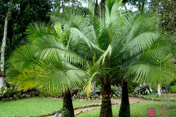 1728890406573712.png 微信截圖(tú)_20241014105955.png