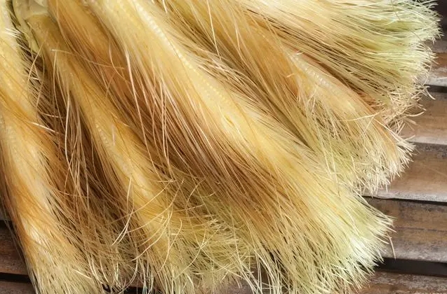 1729664572990425.png 微信截圖_20241022120158.png