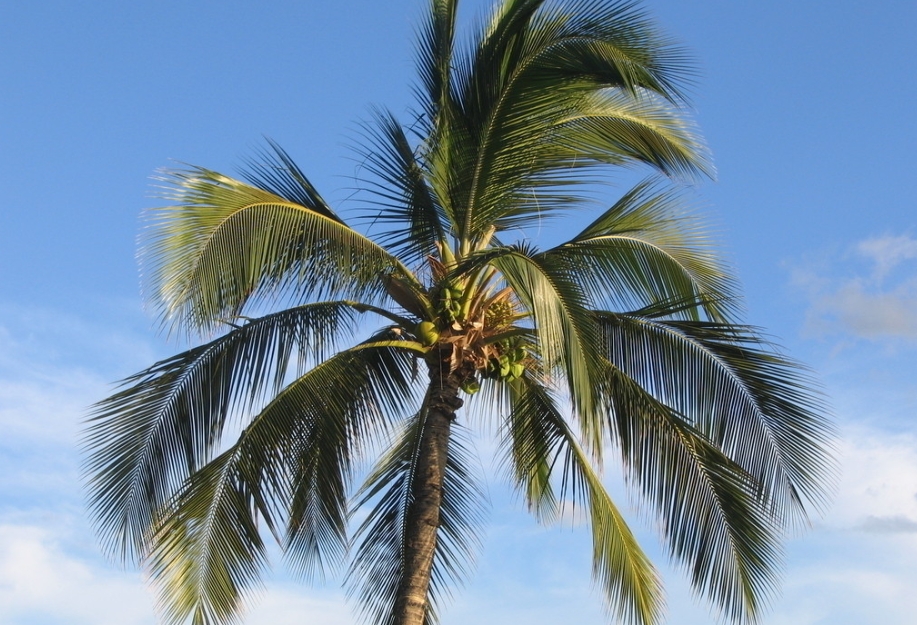 1729750039675708.png 微信截圖_20241022120133.png