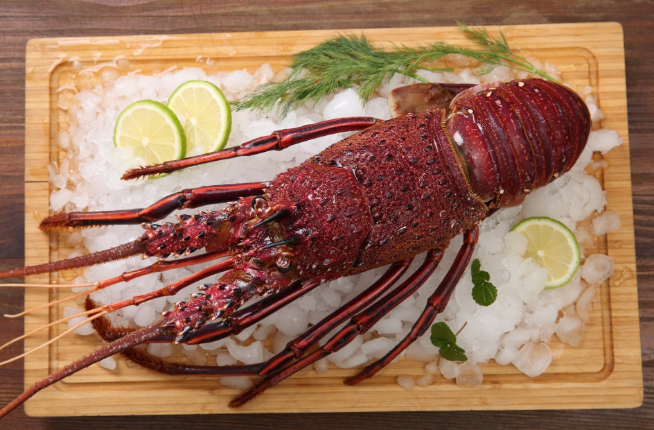 1731311670268287.png 微信截圖_20241108155006.png