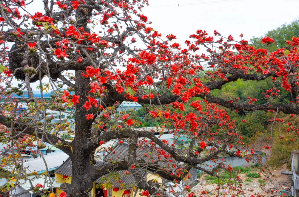 1731997707392666.png 微信截(jié)圖_20241113115459.png