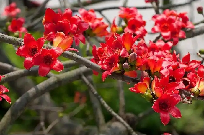 1731997718244836.png 微信截圖_20241113115428.png