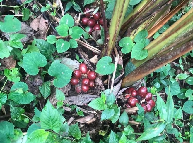 1733812889541581.png 微(wēi)信(xìn)截圖_20241202151348.png