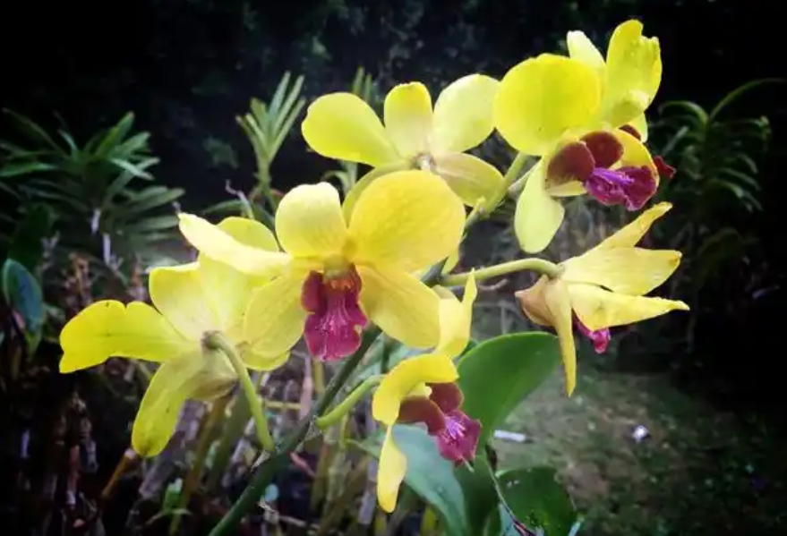 1733984417692100.png 微(wēi)信截圖_20241211142720.png