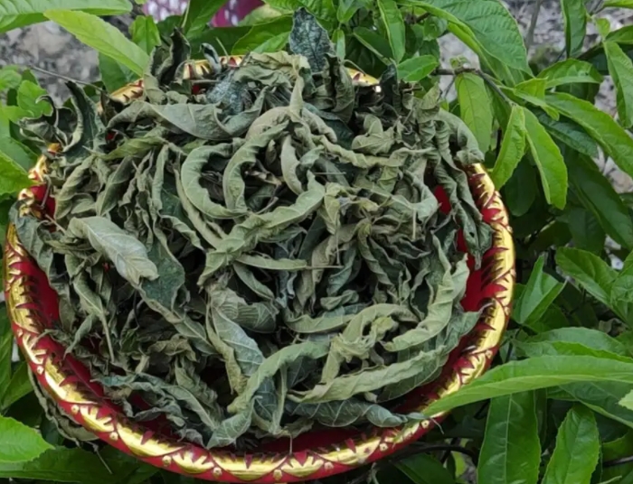 1734075854243469.png 微(wēi)信截圖_20241213142812.png