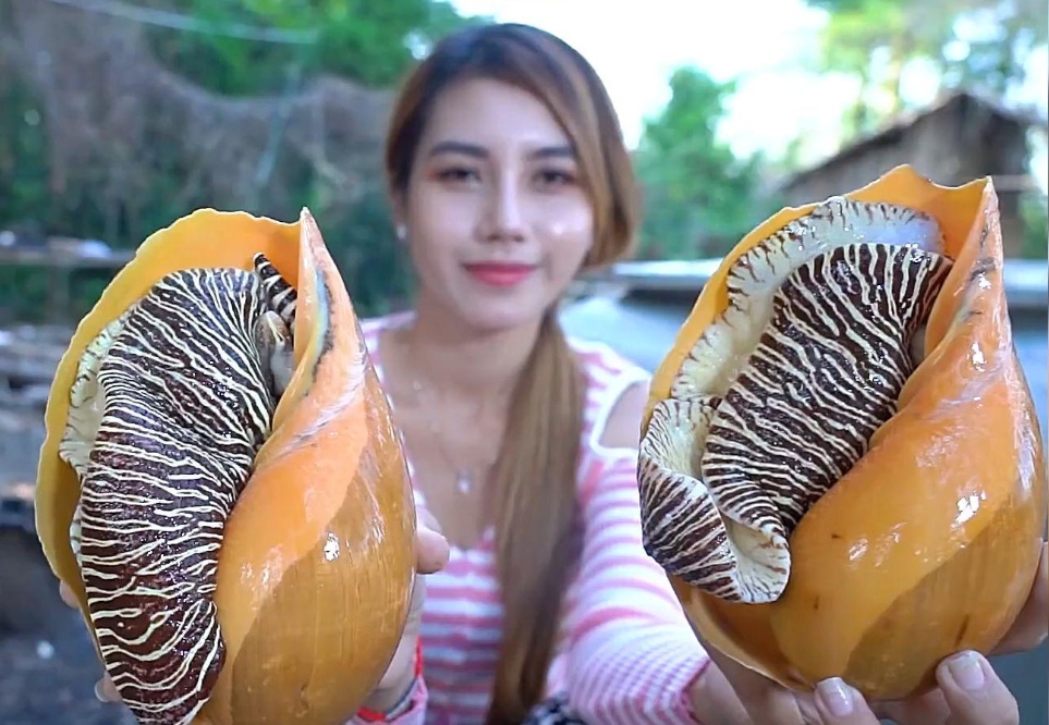 1734418954937763.png 微信(xìn)截圖_20241216102428.png