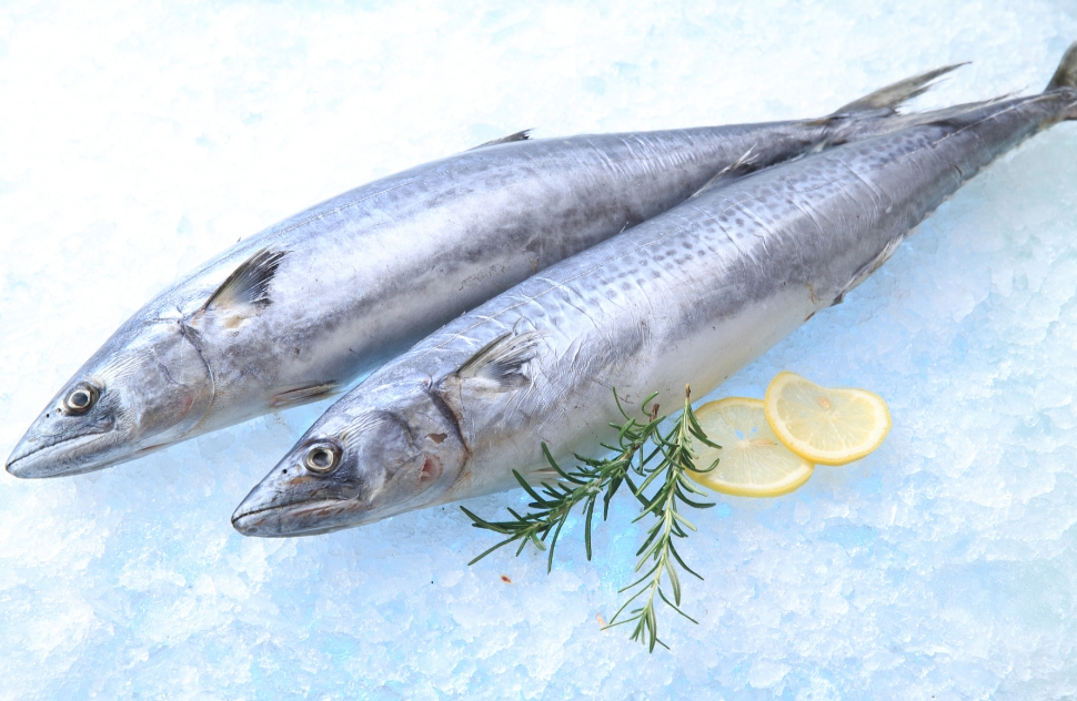 1734942347283451.png 微信截圖_20241219111512.png