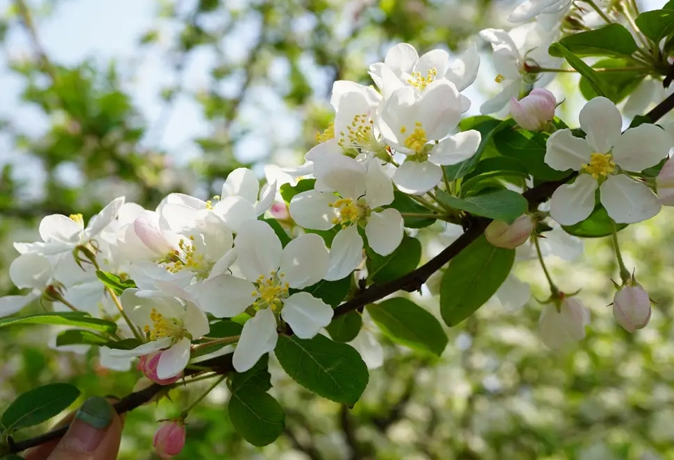 1734943246596418.png 微信(xìn)截圖_20241219114015.png