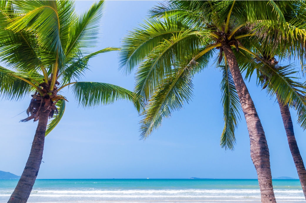 1735107774849973.png 微信截圖_20241223144122.png