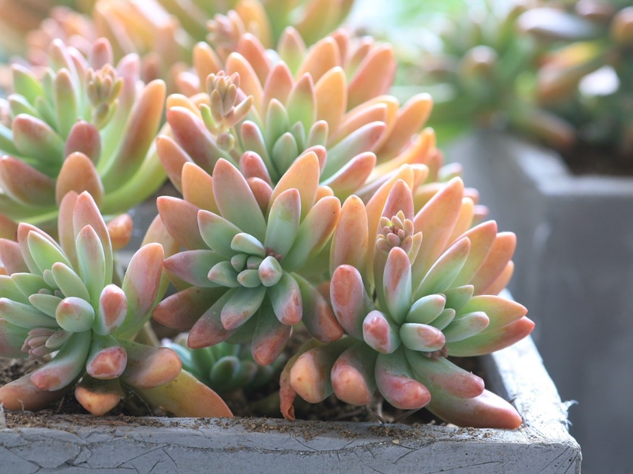 1735201373612815.png 微信截圖_20241223145622.png