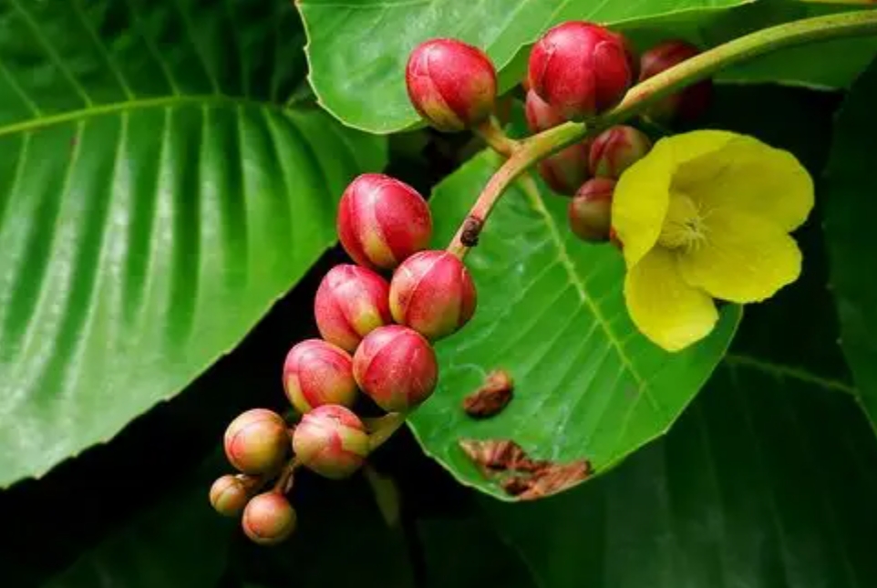 1735201389255208.png 微信截圖_20241223145951.png