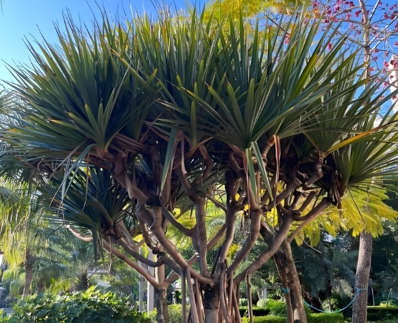 1735800481233906.png 微信截圖_20241231154926.png