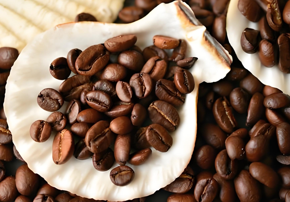 1735893377228575.png 微信截圖_20241231160140.png