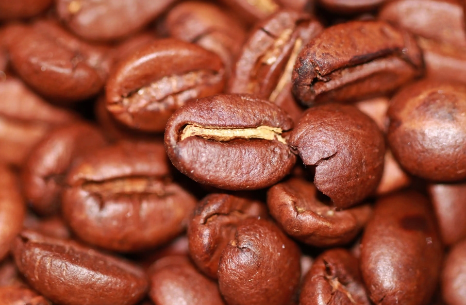 1735893383949455.png 微信截圖_20241231160019.png