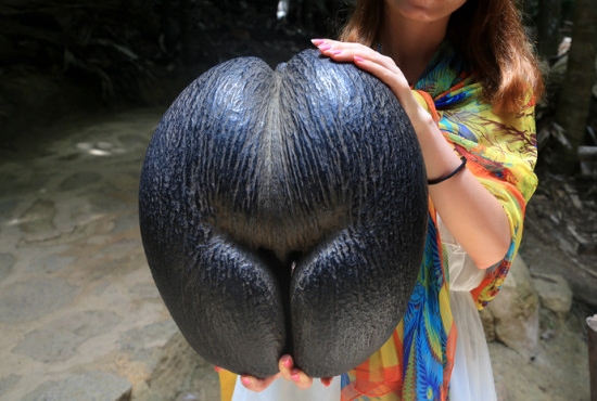 1736409413754064.png 微信截(jié)圖_20250106113600.png