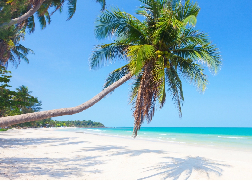 1736840791177030.png 微信截圖_20250113112430.png