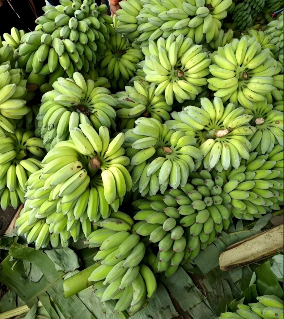 1739605581781230.png 微(wēi)信截圖_20250214120027.png