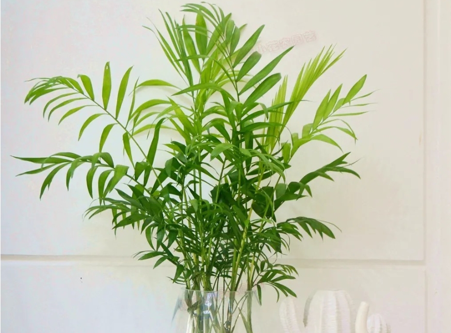 1739779654714824.png 微信(xìn)截圖(tú)_20250217142455.png