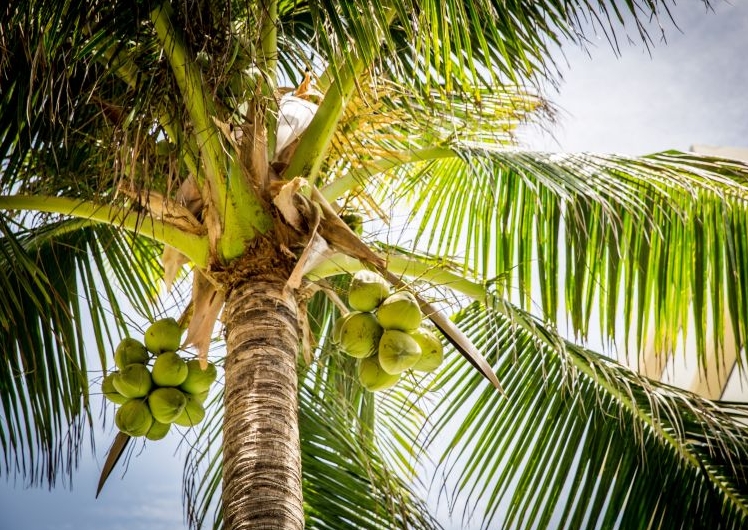 1739779665113808.png 微信截圖_20250217142640.png