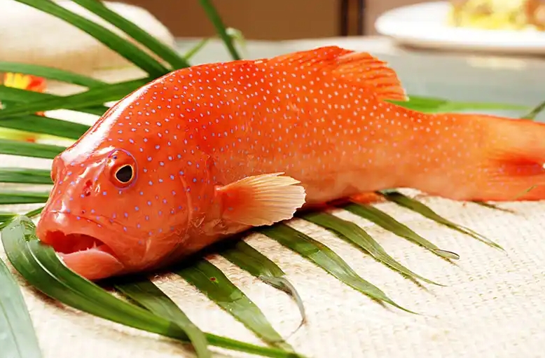 1741939889451534.png 微(wēi)信截圖_20250314150457.png