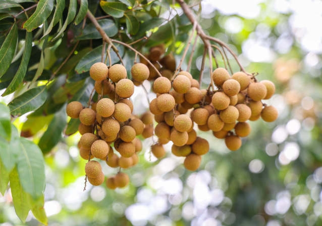 1743583917932763.png 微信截(jié)圖_20250402160848.png