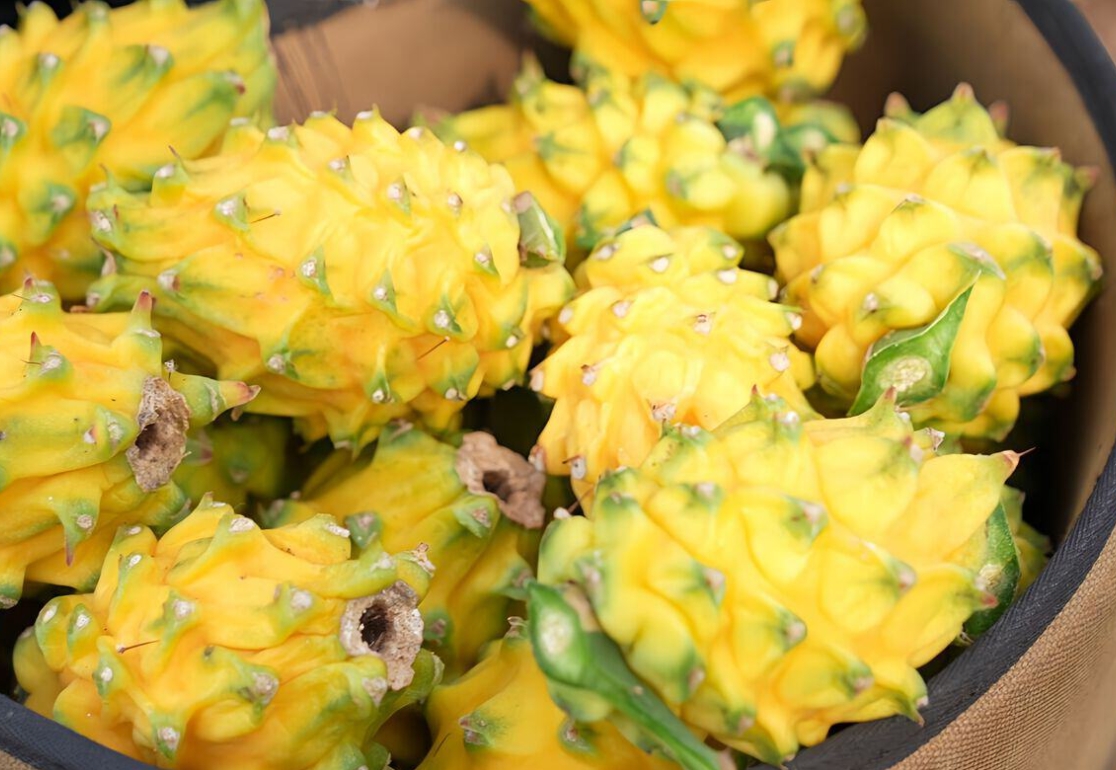 1743584852745755.png 微信(xìn)截圖(tú)_20250402162555.png