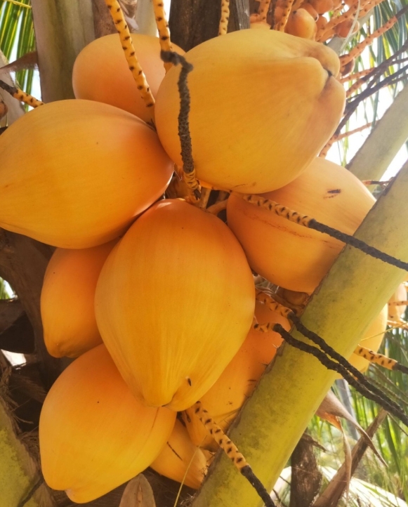 1745393538457577.png 微信截圖_20250423110515.png