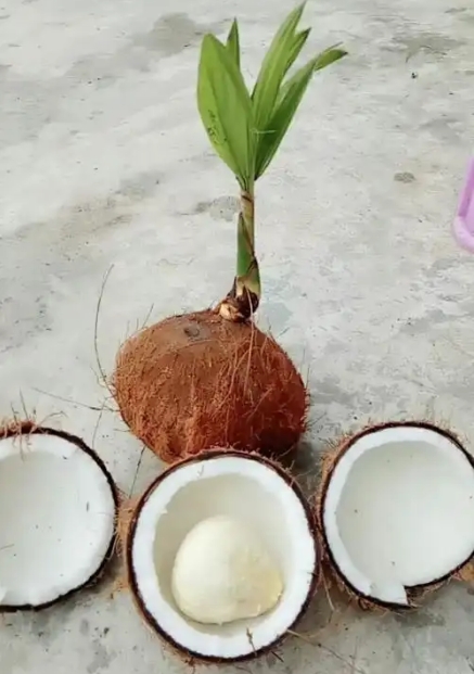 1745393550132694.png 微信截圖_20250423110441.png