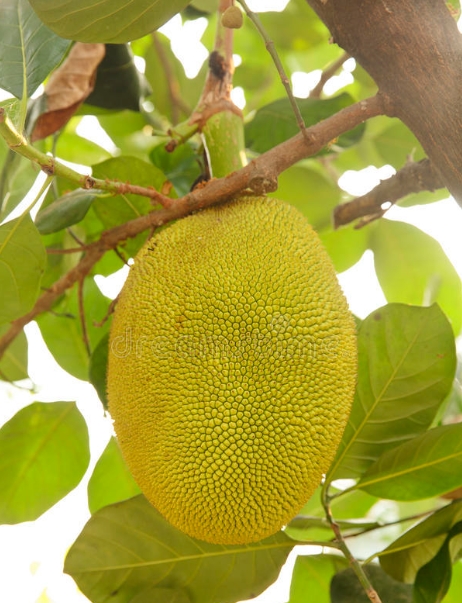 1746000396946302.png 微信截圖_20250430142416.png